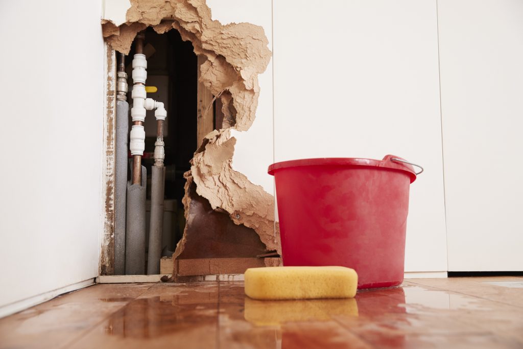 water damage mold remediation | exosed pipes with red water bucket and yellow sponge