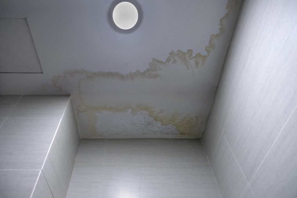commercial mold removal south florida
